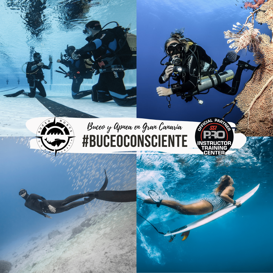 Dónde practicar buceo y apnea en Gran Canaria