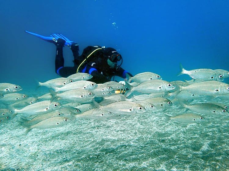 guía de buceo