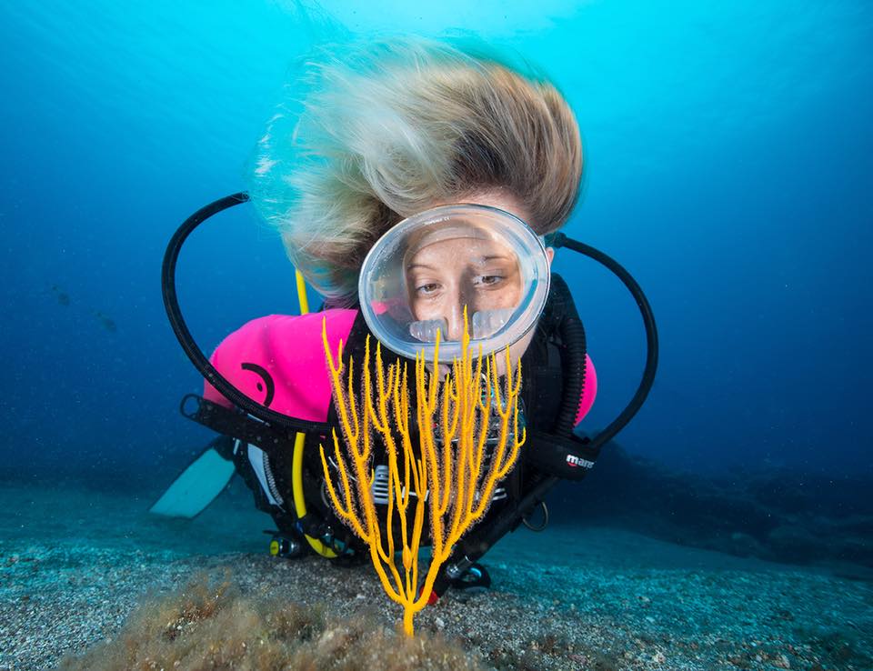 inmersión de buceo con gorgonia