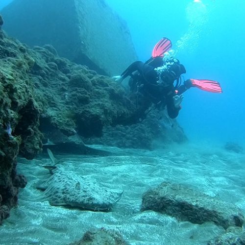 Punto de Buceo El Faro Gran Canaria