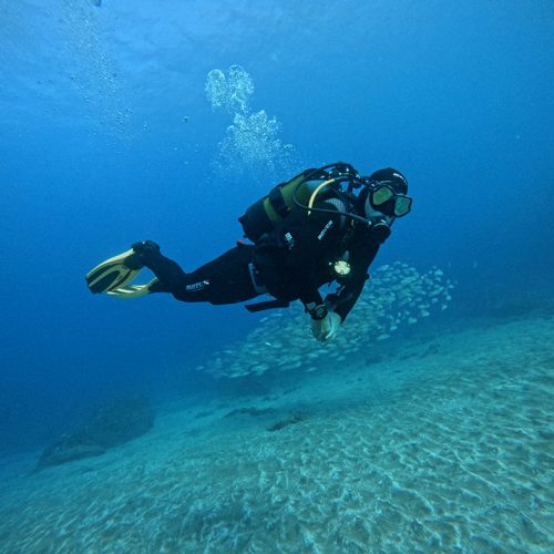 Punto de Buceo El Faro Gran Canaria