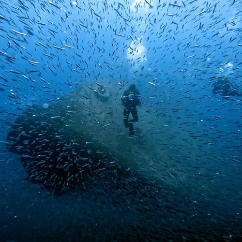 Punto de buceo Pecio El Arona gran canaria 1