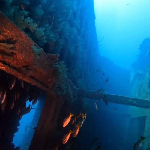 Punto de buceo Pecio El Arona gran canaria 2