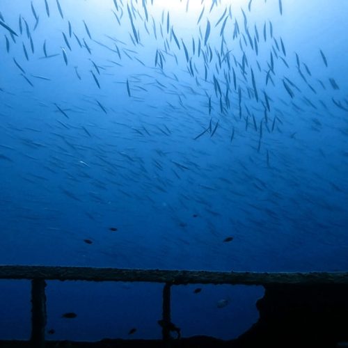 Punto de buceo Pecio El Arona gran canaria 3