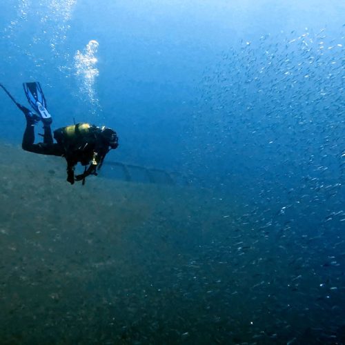 Punto de buceo Pecio El Arona gran canaria 6