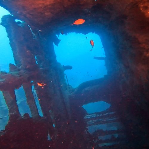 Punto de buceo Pecio El Arona gran canaria 7