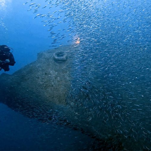 Punto de buceo Pecio El Arona gran canaria id