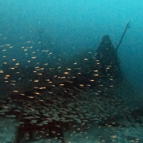 Punto de buceo Pecio El Coreano gran canaria 1