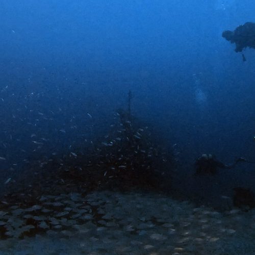 Punto de buceo Pecio El Coreano gran canaria 5