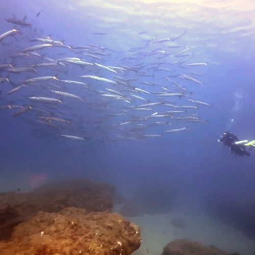 Punto de buceo la cuevita gran canaria 2