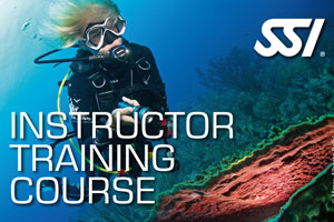 curso de buceo dive master