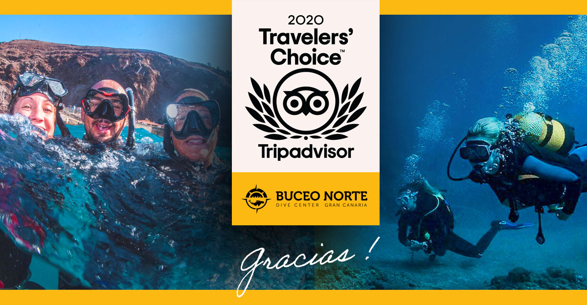 Buceo Norte Gana el Premio Travellers’ Choice 4 años consecutivos