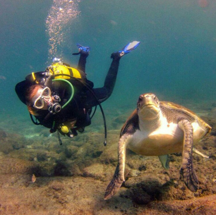 marina divemaster buceo gran canaria